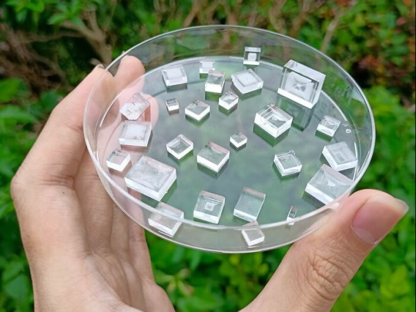 10 People Share Their Extraordinary Collections Of Items Many Would Not Think Of Collecting 10 People Share Their Extraordinary Collections Of Items Many Would Not Think Of Collecting