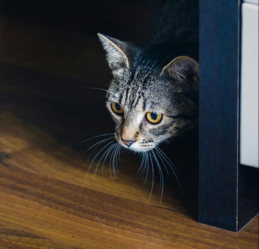 10 personas comparten las señales de alerta sobre las citas que desearían haber visto antes 10 personas comparten las señales de alerta sobre las citas que desearían haber visto antes