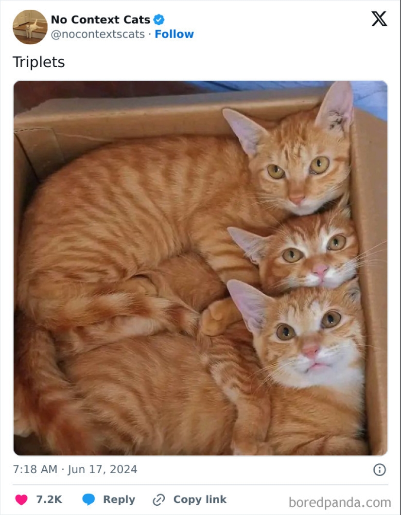 10 Pics From The “Out Of Context” X Page To Brighten Up Your Day