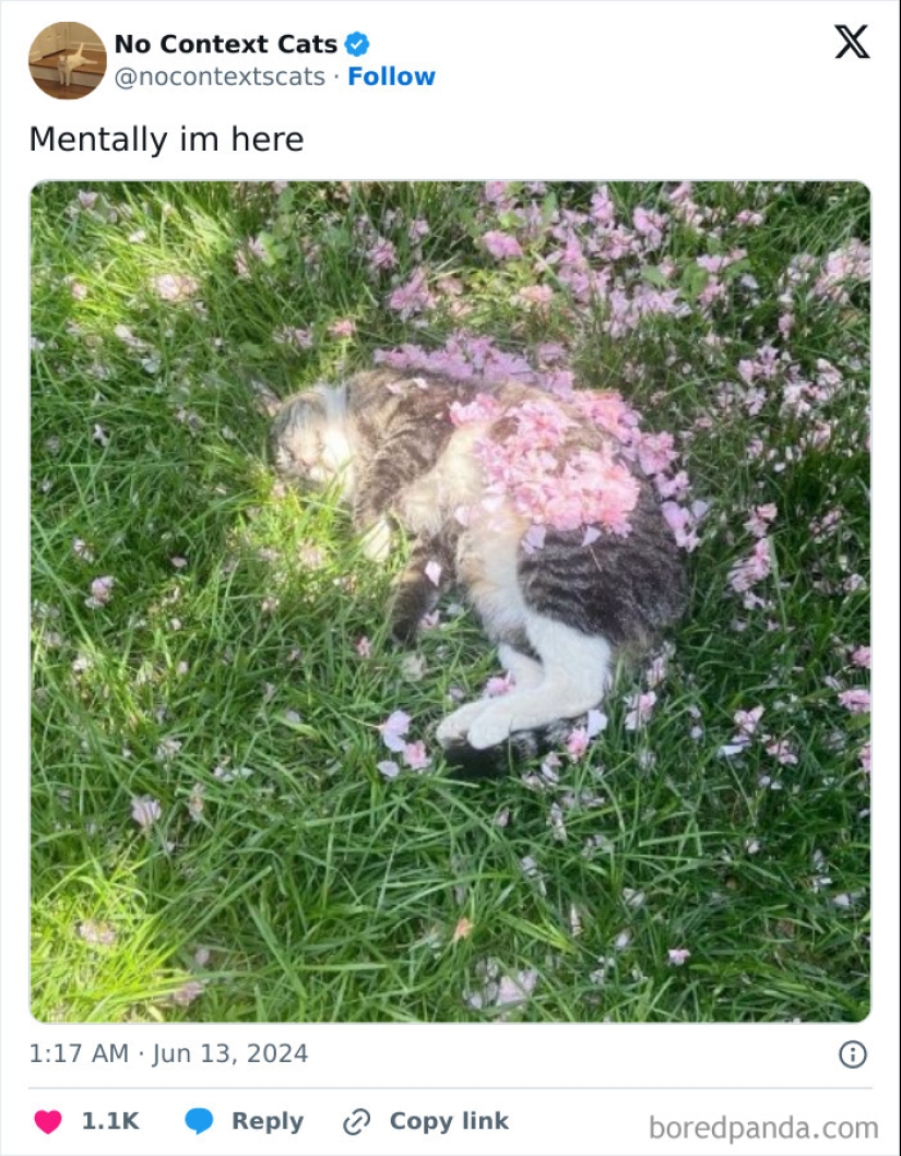 10 Pics From The “Out Of Context” X Page To Brighten Up Your Day