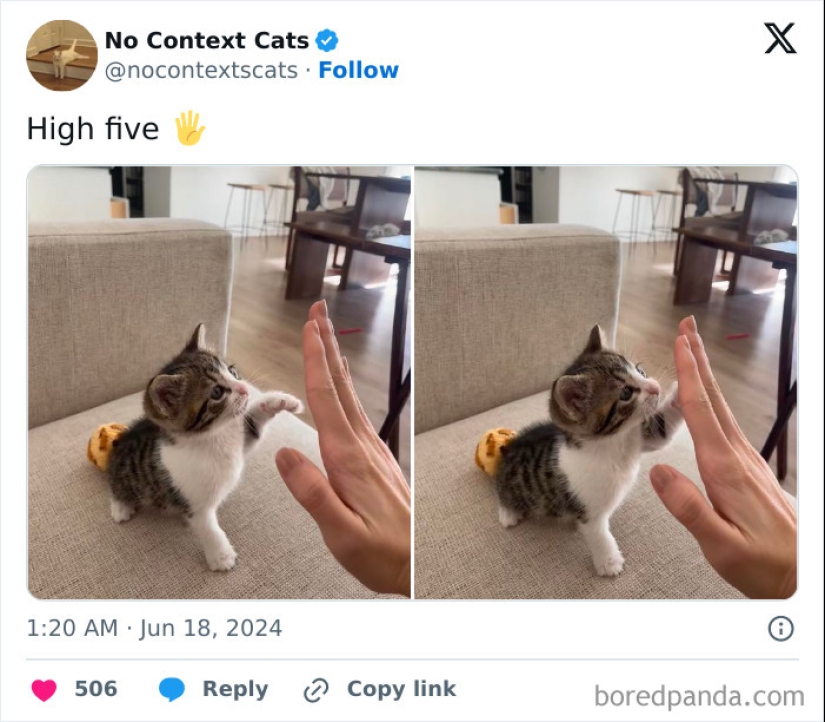 10 Pics From The “Out Of Context” X Page To Brighten Up Your Day