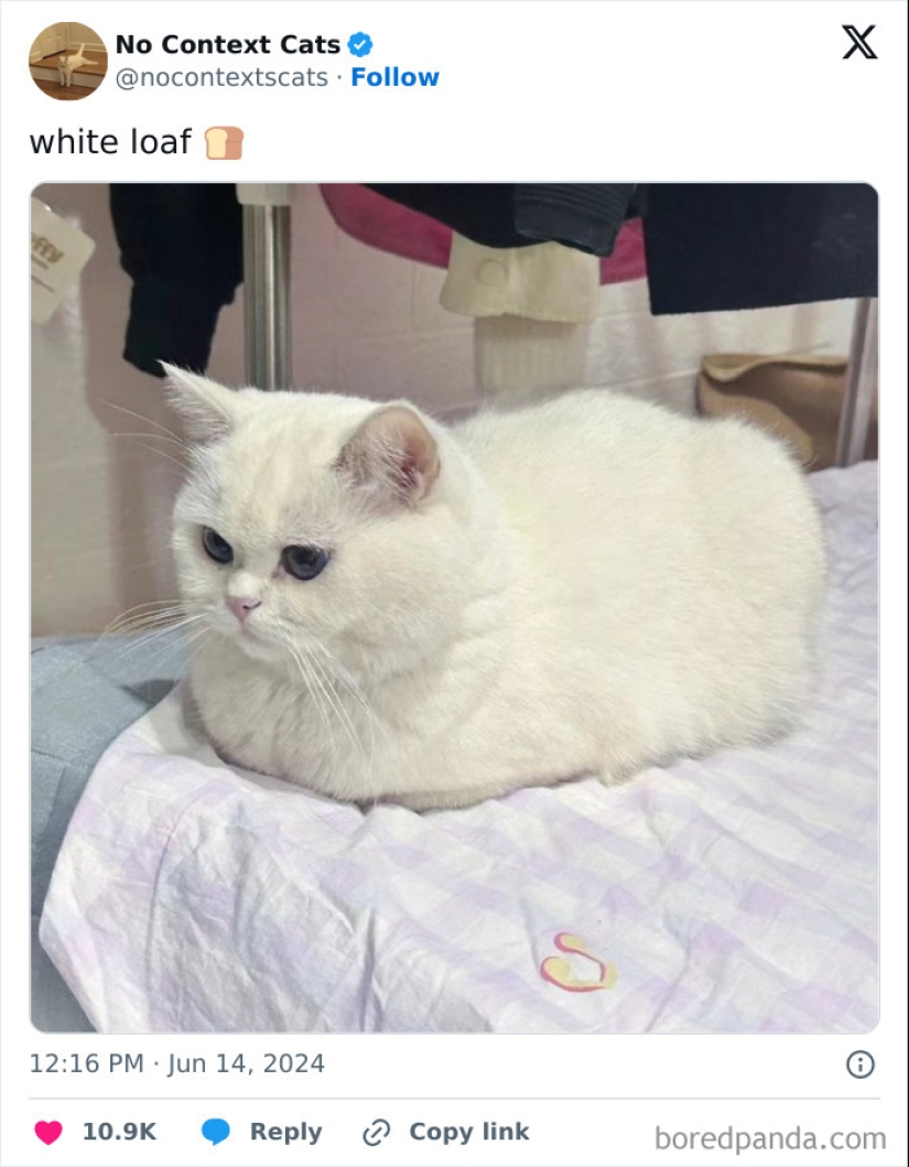 10 Pics From The “Out Of Context” X Page To Brighten Up Your Day