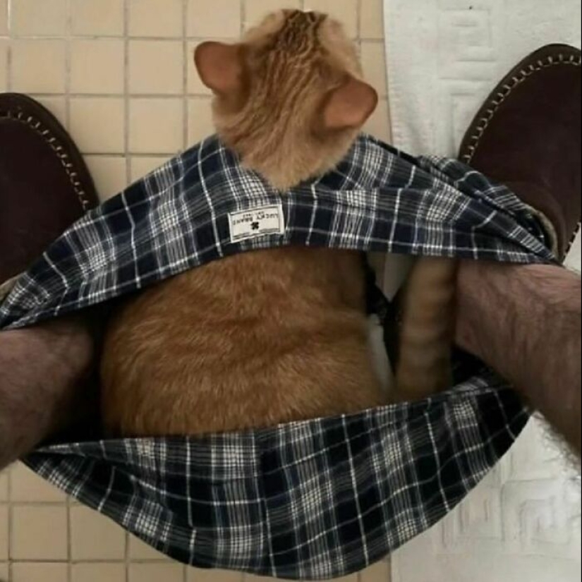 10 Pics Of Animals Being Their Hilarious Selves To Make Your Day 10 Pics Of Animals Being Their Hilarious Selves To Make Your Day