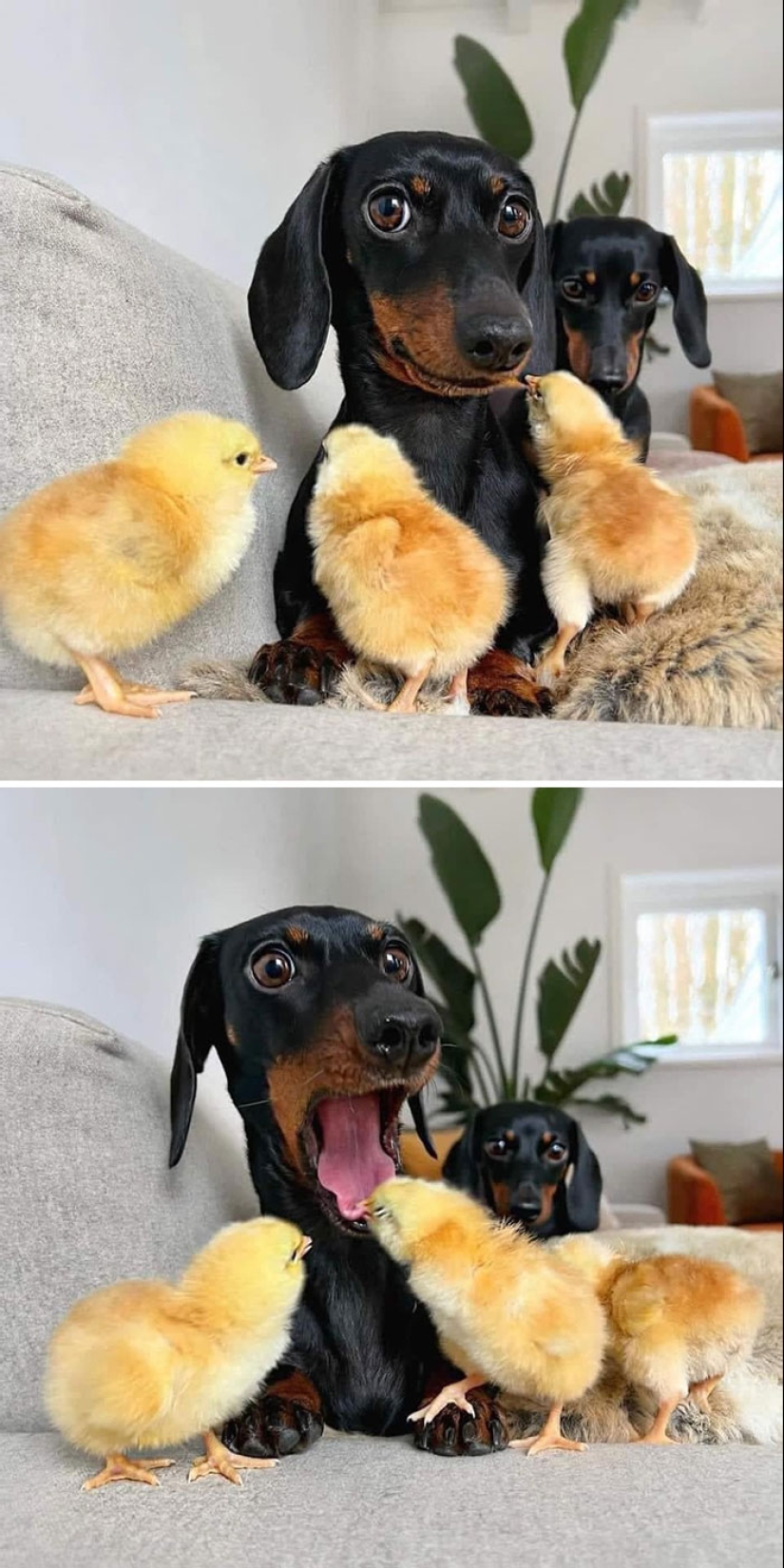 10 Pics Of Disaster Waiting Just Around The Corner, As Shared By People Online 10 Pics Of Disaster Waiting Just Around The Corner, As Shared By People Online