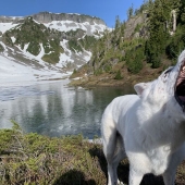 10 Pics Of Disaster Waiting Just Around The Corner, As Shared By People Online