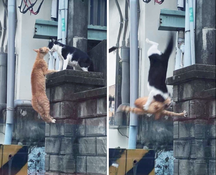 10 Pics Of Disaster Waiting Just Around The Corner, As Shared By People Online 10 Pics Of Disaster Waiting Just Around The Corner, As Shared By People Online