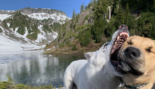 10 Pics Of Disaster Waiting Just Around The Corner, As Shared By People Online