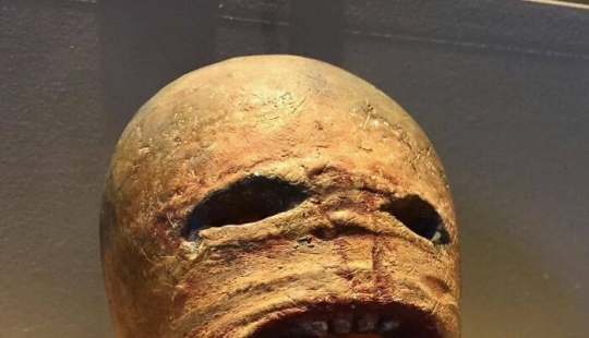 10 Pictures From ‘The Museum of Ridiculously Interesting Things’