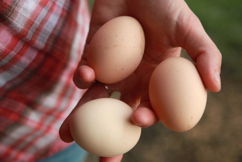 10 rules of table etiquette of different countries that should not be violated