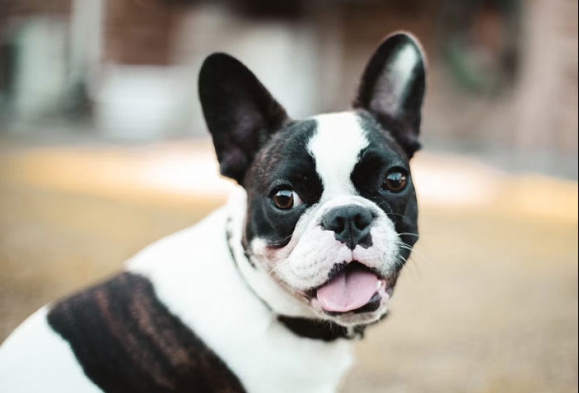 10 secretos salvajes e incalculables compartidos de forma anónima en este hilo en línea