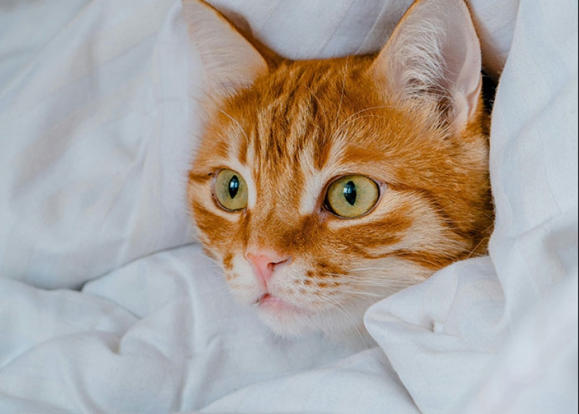 10 Secrets Of The Rich, Shared By Netizens Who Used To Work For Them 10 Secrets Of The Rich, Shared By Netizens Who Used To Work For Them