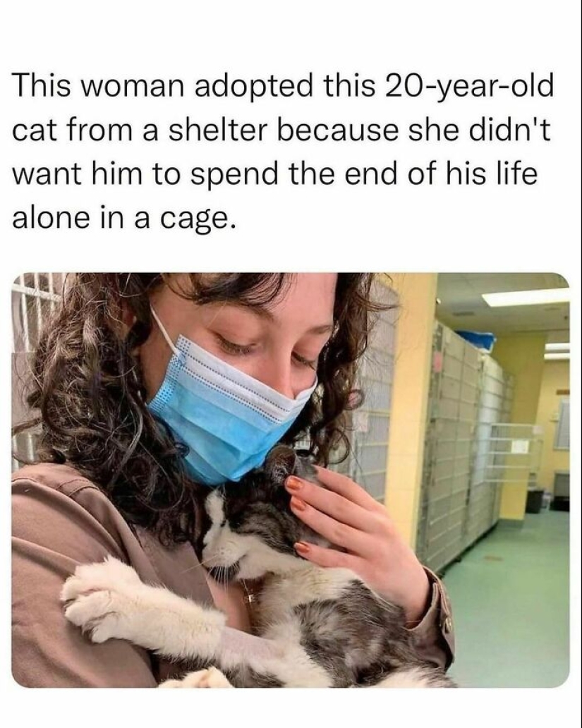 10 Times Animals Were The Perfect Meme Format, As Shared On This Instagram Page