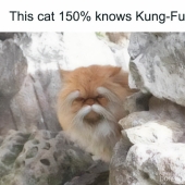 10 Times Animals Were The Perfect Meme Format, As Shared On This Instagram Page