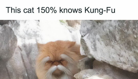 10 Times Animals Were The Perfect Meme Format, As Shared On This Instagram Page