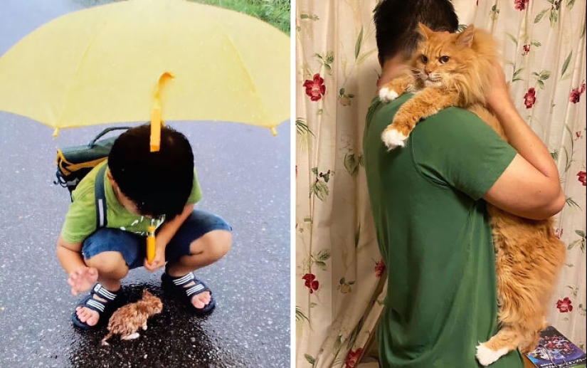 10 Times Animals Were Being So Cute, People Just Had To Snap A Pic