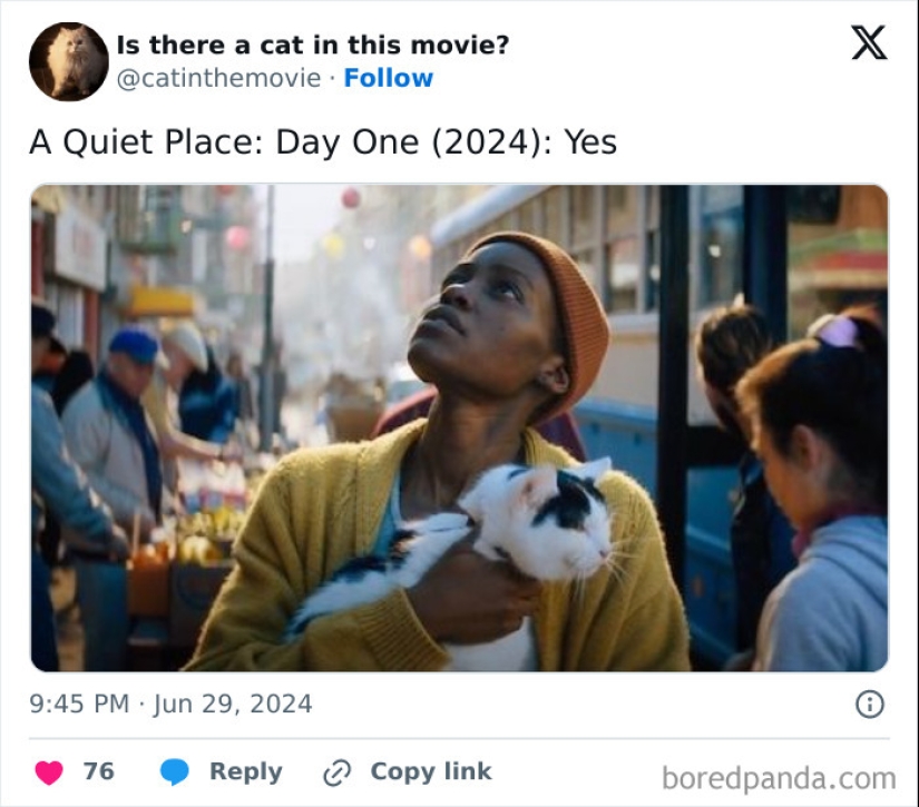 10 Times Cats Were Spotted In A Movie, Uncovered By This Account 10 Times Cats Were Spotted In A Movie, Uncovered By This Account
