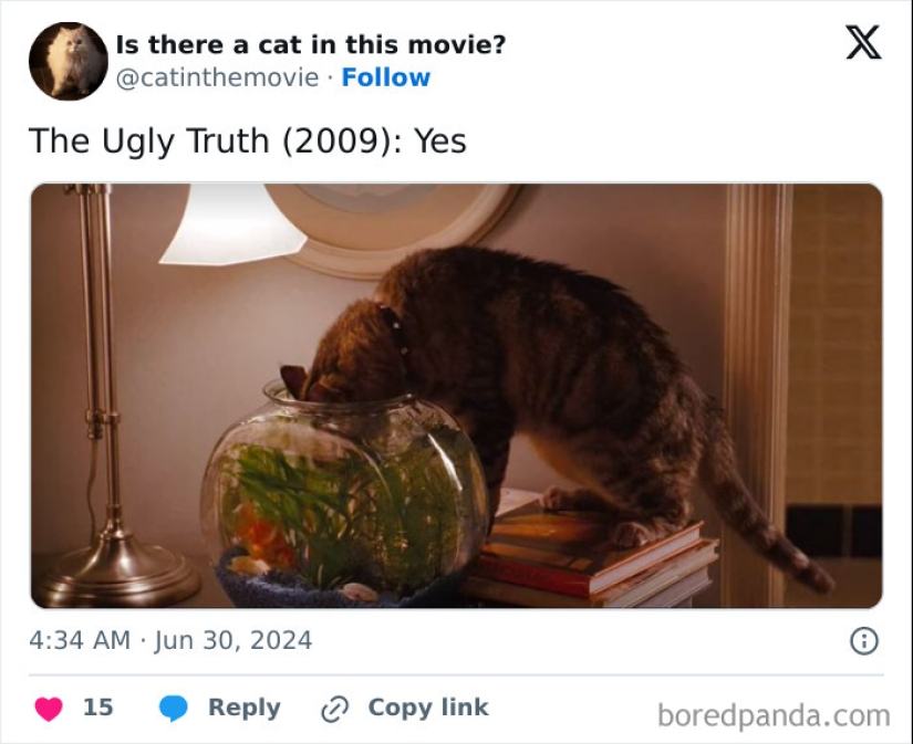 10 Times Cats Were Spotted In A Movie, Uncovered By This Account 10 Times Cats Were Spotted In A Movie, Uncovered By This Account