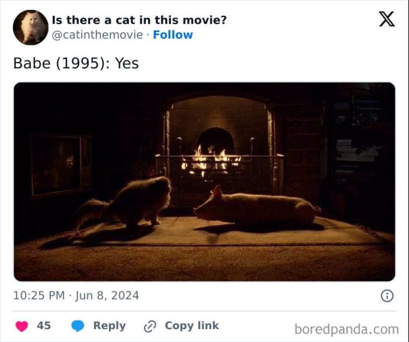 10 Times Cats Were Spotted In A Movie, Uncovered By This Account 10 Times Cats Were Spotted In A Movie, Uncovered By This Account