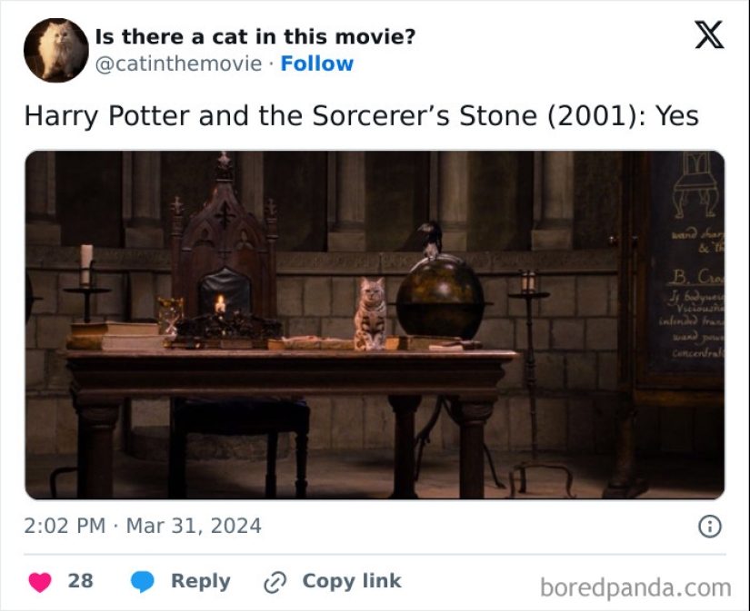 10 Times Cats Were Spotted In A Movie, Uncovered By This Account 10 Times Cats Were Spotted In A Movie, Uncovered By This Account