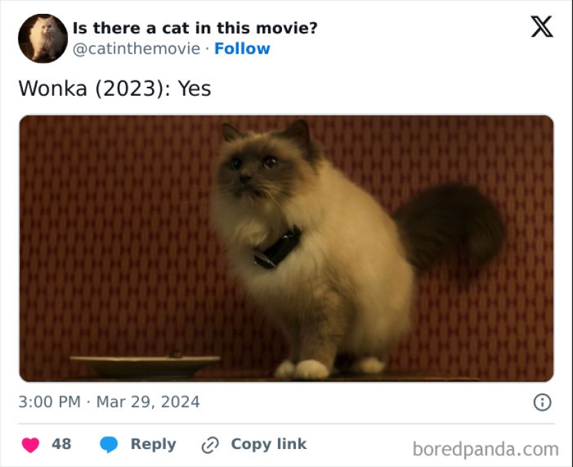 10 Times Cats Were Spotted In A Movie, Uncovered By This Account 10 Times Cats Were Spotted In A Movie, Uncovered By This Account