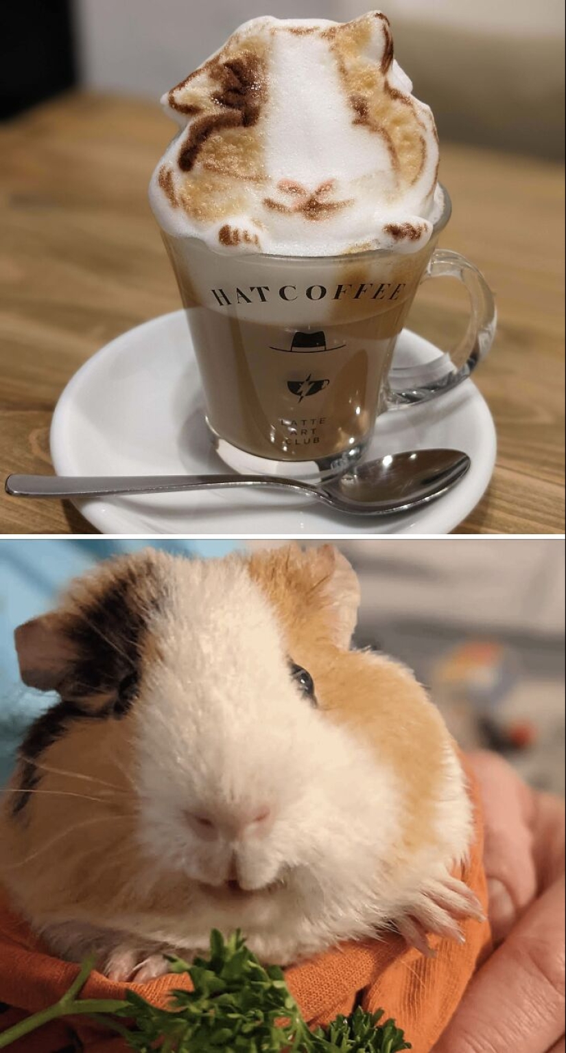 10 Times Latte Art Was So Impressive, It Looked Almost Too Good To Drink