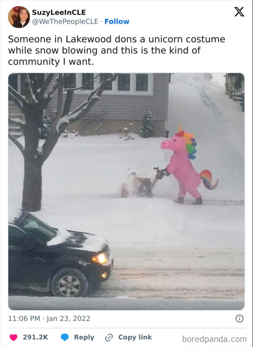 10 Times People Felt Pure Joy Living Next Door To Their Funny Neighbors