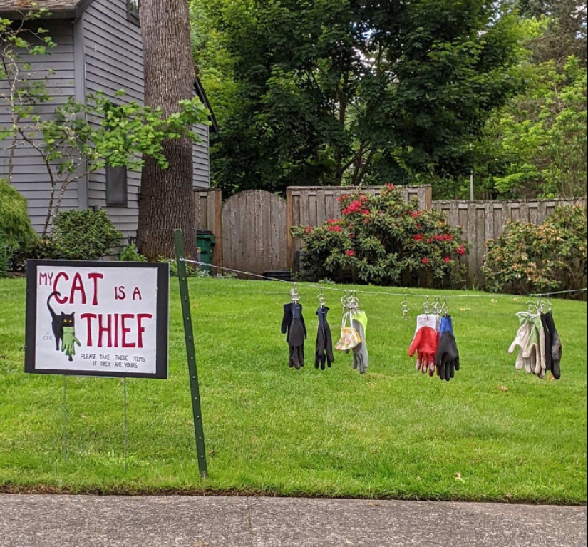 10 Times People Felt Pure Joy Living Next Door To Their Funny Neighbors