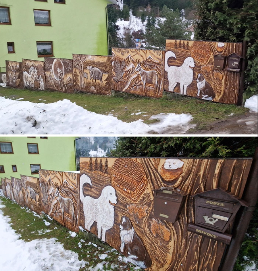 10 Times People Felt Pure Joy Living Next Door To Their Funny Neighbors