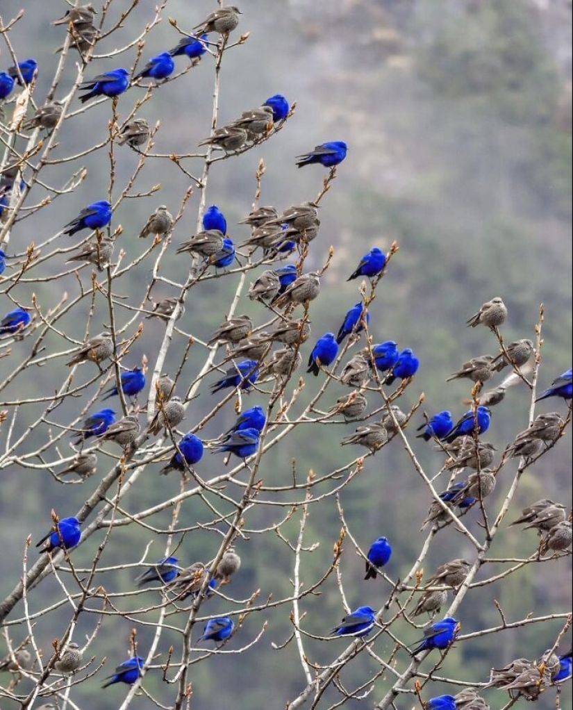 10 Times People Saw The Coolest Things And Just Had To Share On This Online Community