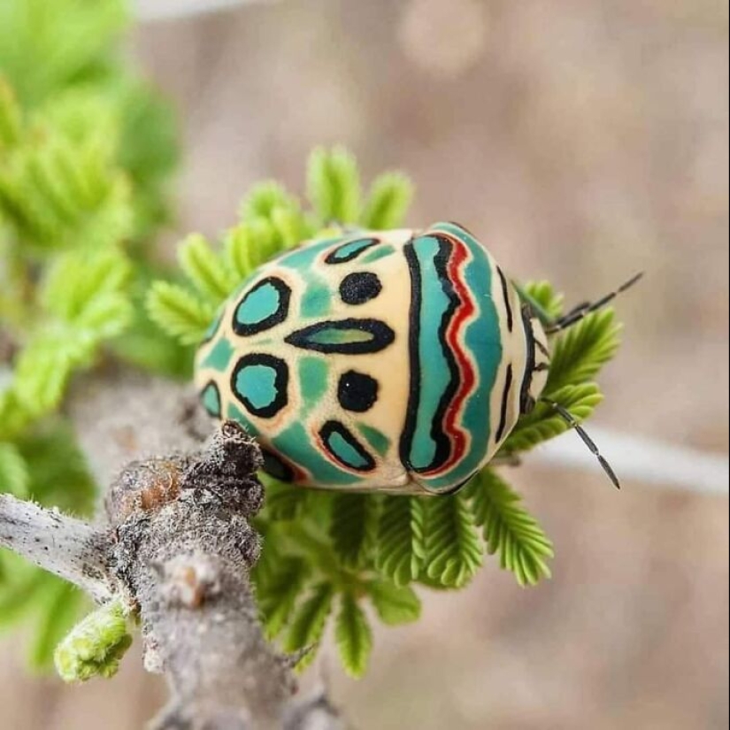 10 Times People Saw The Coolest Things And Just Had To Share On This Online Community