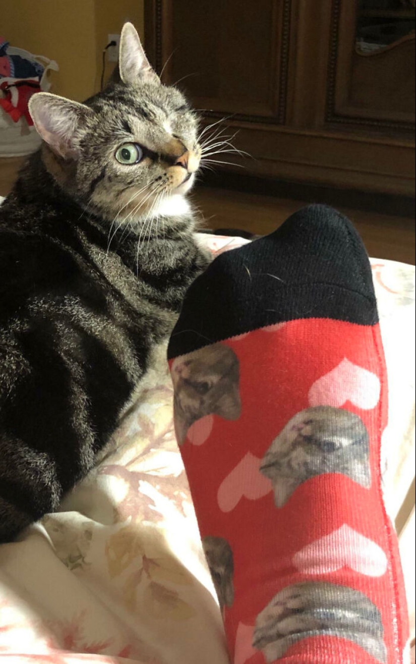 10 Times People Used Their Awesome Sense Of Humor To Surprise Their Valentines