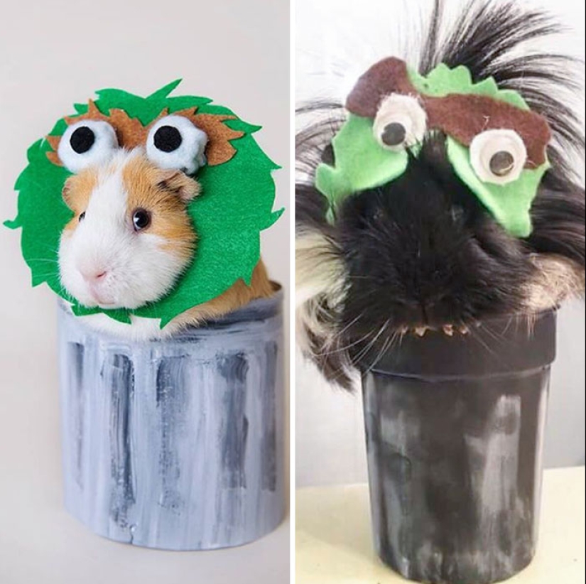 10 Times People Hilariously Failed At Creating Pinterest Crafts At Home
