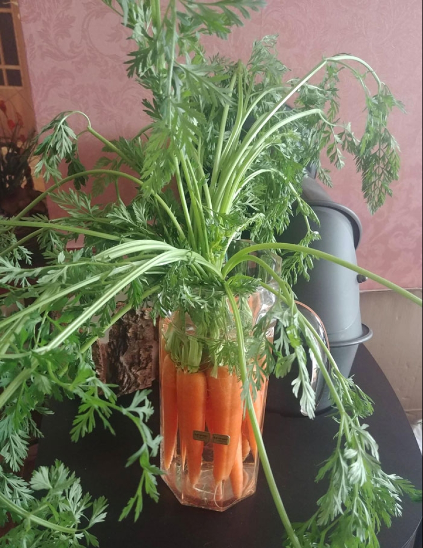 10 Times People Hilariously Failed At Creating Pinterest Crafts At Home