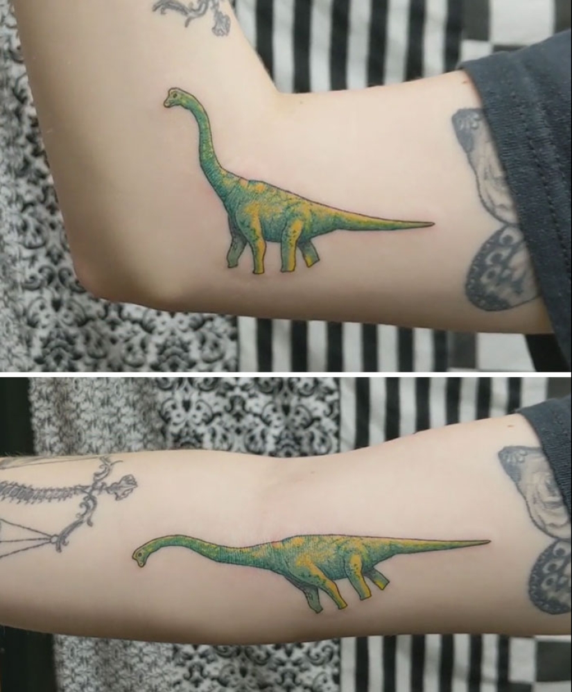 10 veces la gente tuvo una idea genial de tatuaje de dinosaurio y se ejecutó a la perfección 10 veces la gente tuvo una idea genial de tatuaje de dinosaurio y se ejecutó a la perfección