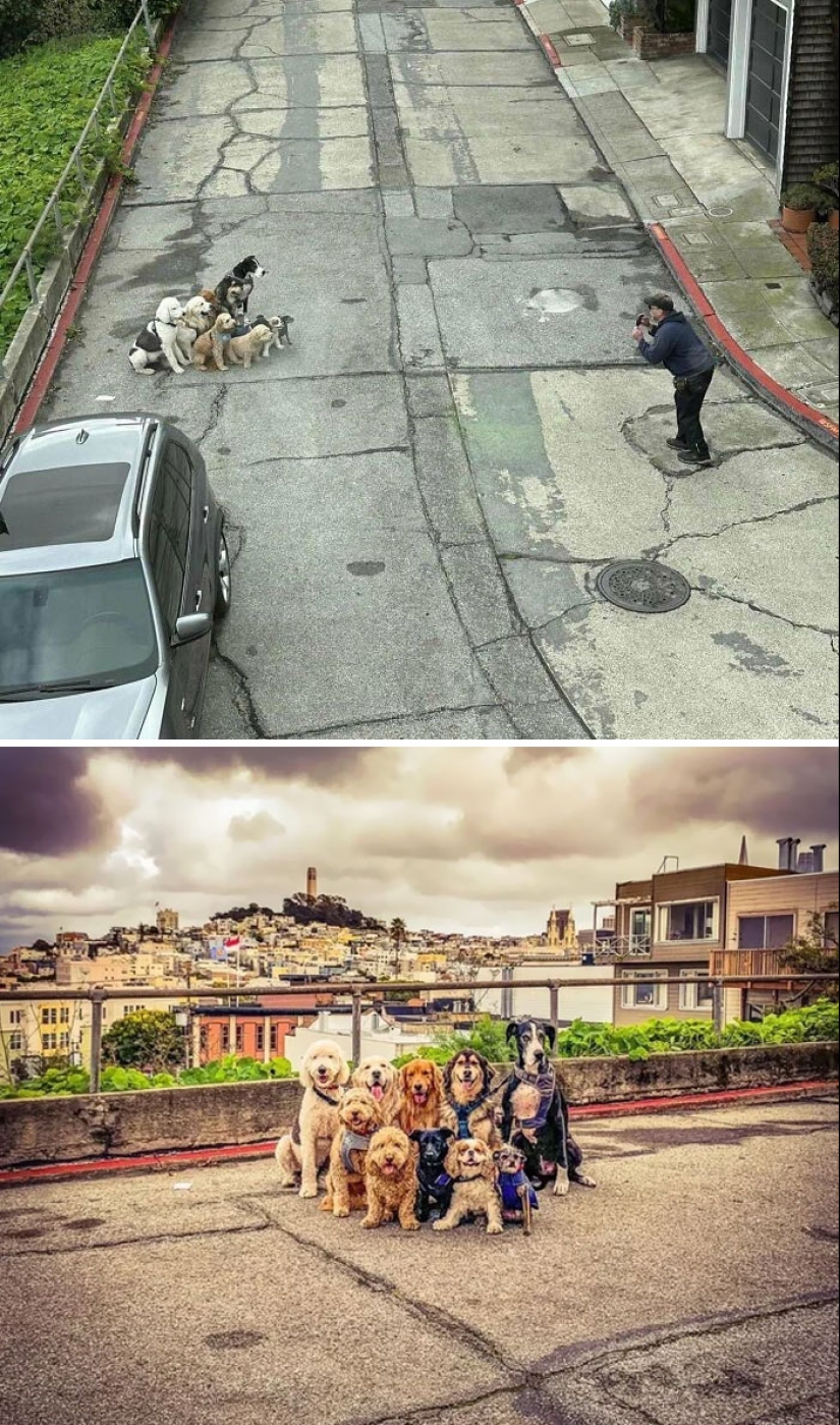 10 veces que los animales se portaron tan lindos que la gente solo tuvo que tomar una foto 10 veces que los animales se portaron tan lindos que la gente solo tuvo que tomar una foto