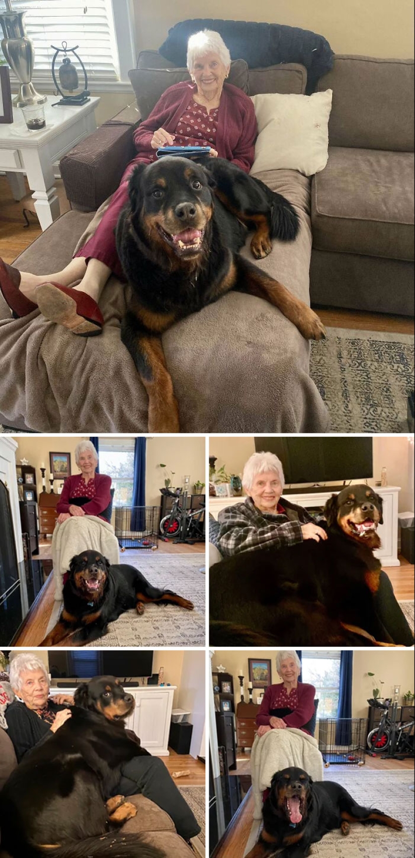 10 veces que los animales se portaron tan lindos que la gente solo tuvo que tomar una foto 10 veces que los animales se portaron tan lindos que la gente solo tuvo que tomar una foto