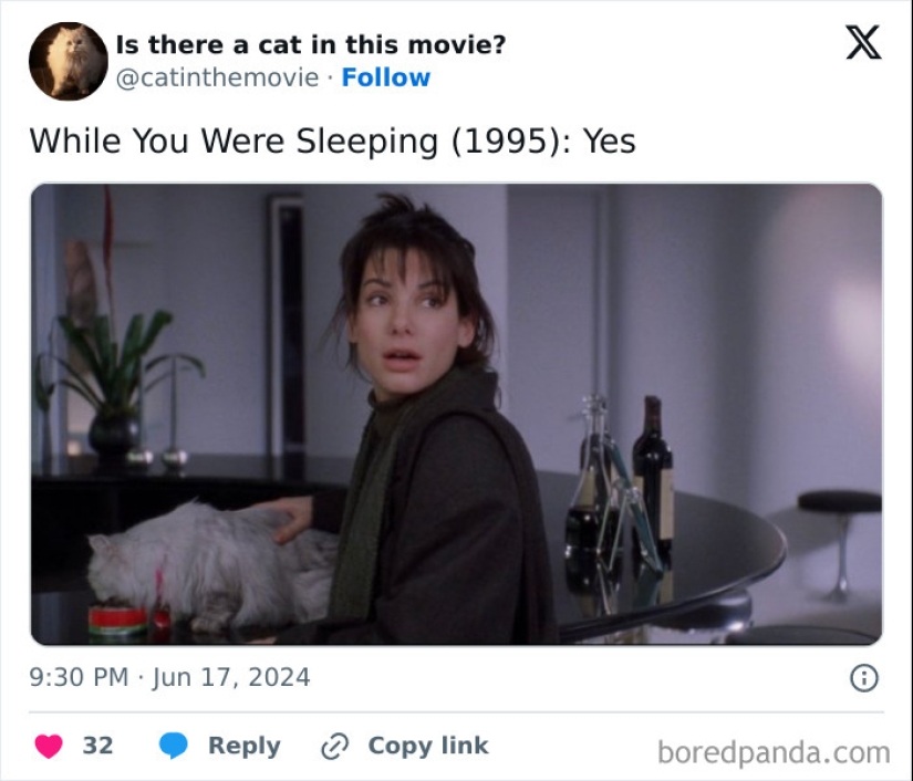 10 veces que se vieron gatos en una película, descubiertos por este relato