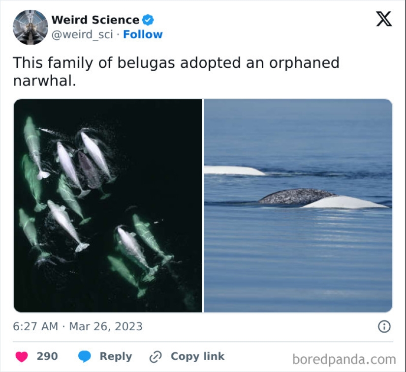 10 Weird Science Posts That Have Been Scientifically Proven To Be Interesting 10 Weird Science Posts That Have Been Scientifically Proven To Be Interesting