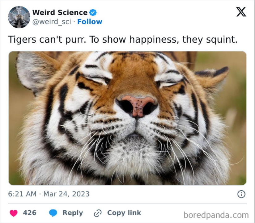 10 Weird Science Posts That Have Been Scientifically Proven To Be Interesting 10 Weird Science Posts That Have Been Scientifically Proven To Be Interesting