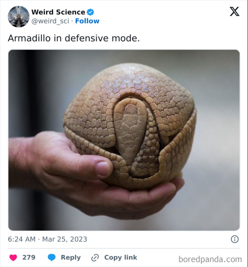 10 Weird Science Posts That Have Been Scientifically Proven To Be Interesting 10 Weird Science Posts That Have Been Scientifically Proven To Be Interesting