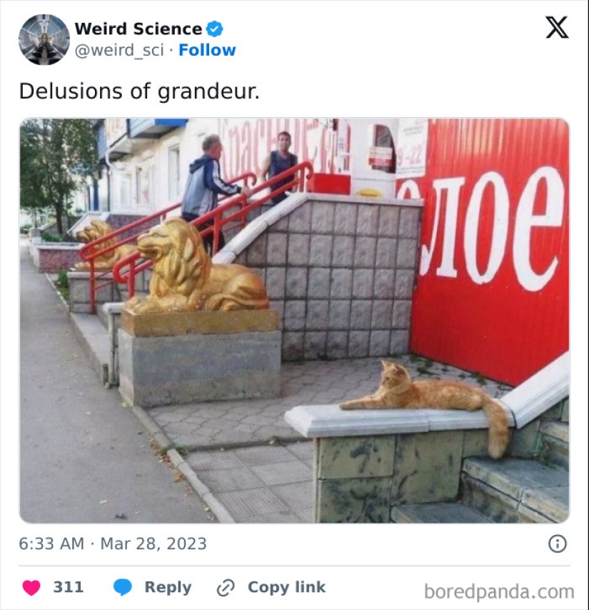 10 Weird Science Posts That Have Been Scientifically Proven To Be Interesting 10 Weird Science Posts That Have Been Scientifically Proven To Be Interesting