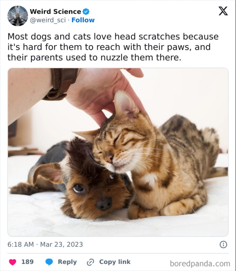 10 Weird Science Posts That Have Been Scientifically Proven To Be Interesting 10 Weird Science Posts That Have Been Scientifically Proven To Be Interesting