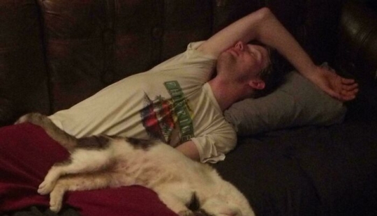 11 fotos que sin querer se parecen a un "renacimiento accidental" 11 fotos que sin querer se parecen a un "renacimiento accidental"