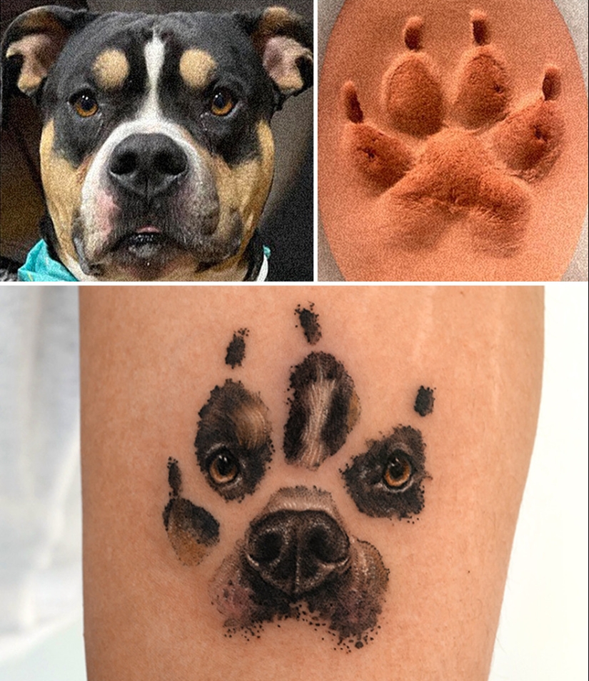 11 Tattoos That Owners Will Cherish Forever As They Feature Realistic Portraits Of Their Pets 11 Tattoos That Owners Will Cherish Forever As They Feature Realistic Portraits Of Their Pets