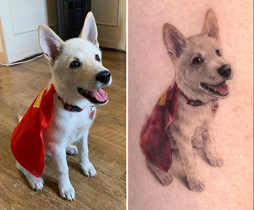 11 Tattoos That Owners Will Cherish Forever As They Feature Realistic Portraits Of Their Pets 11 Tattoos That Owners Will Cherish Forever As They Feature Realistic Portraits Of Their Pets