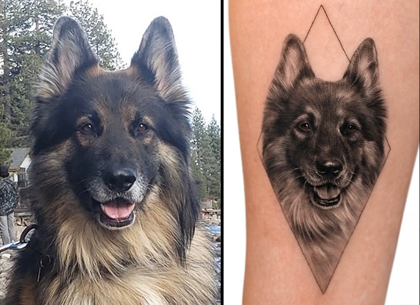 11 tatuajes que sus dueños apreciarán para siempre ya que presentan retratos realistas de sus mascotas 11 tatuajes que sus dueños apreciarán para siempre ya que presentan retratos realistas de sus mascotas