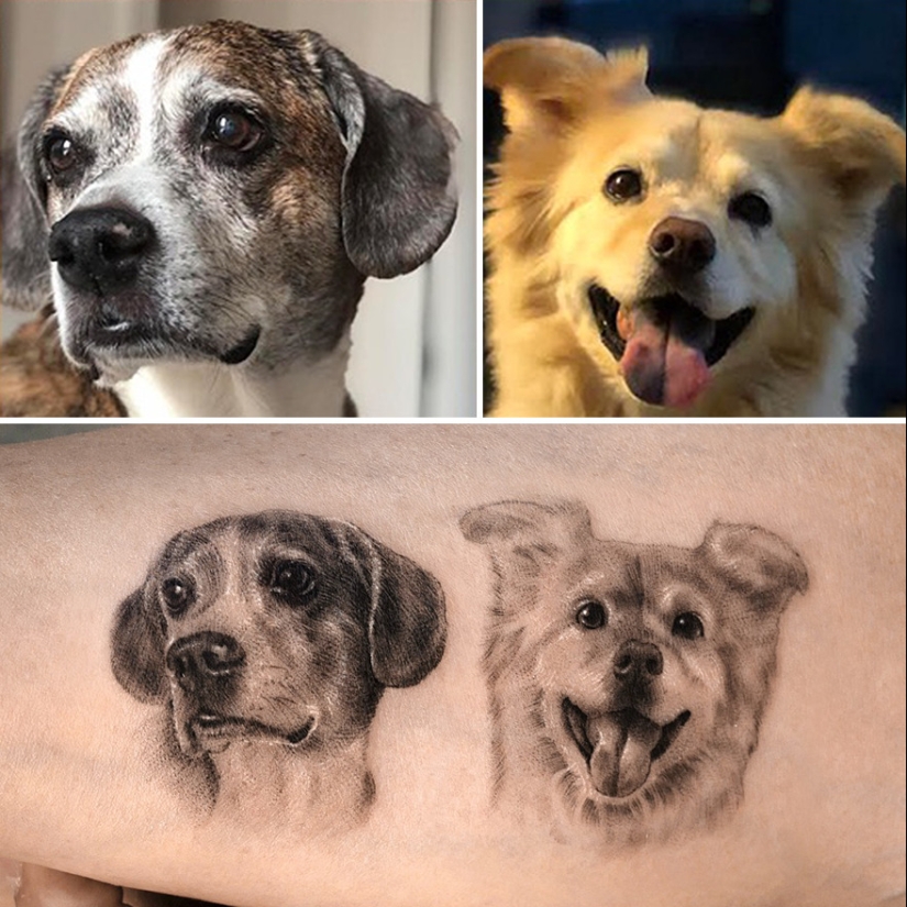 11 tatuajes que sus dueños apreciarán para siempre ya que presentan retratos realistas de sus mascotas 11 tatuajes que sus dueños apreciarán para siempre ya que presentan retratos realistas de sus mascotas