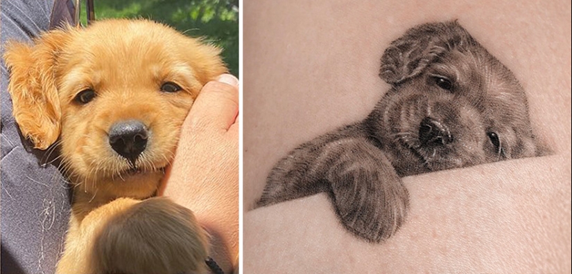11 tatuajes que sus dueños apreciarán para siempre ya que presentan retratos realistas de sus mascotas 11 tatuajes que sus dueños apreciarán para siempre ya que presentan retratos realistas de sus mascotas