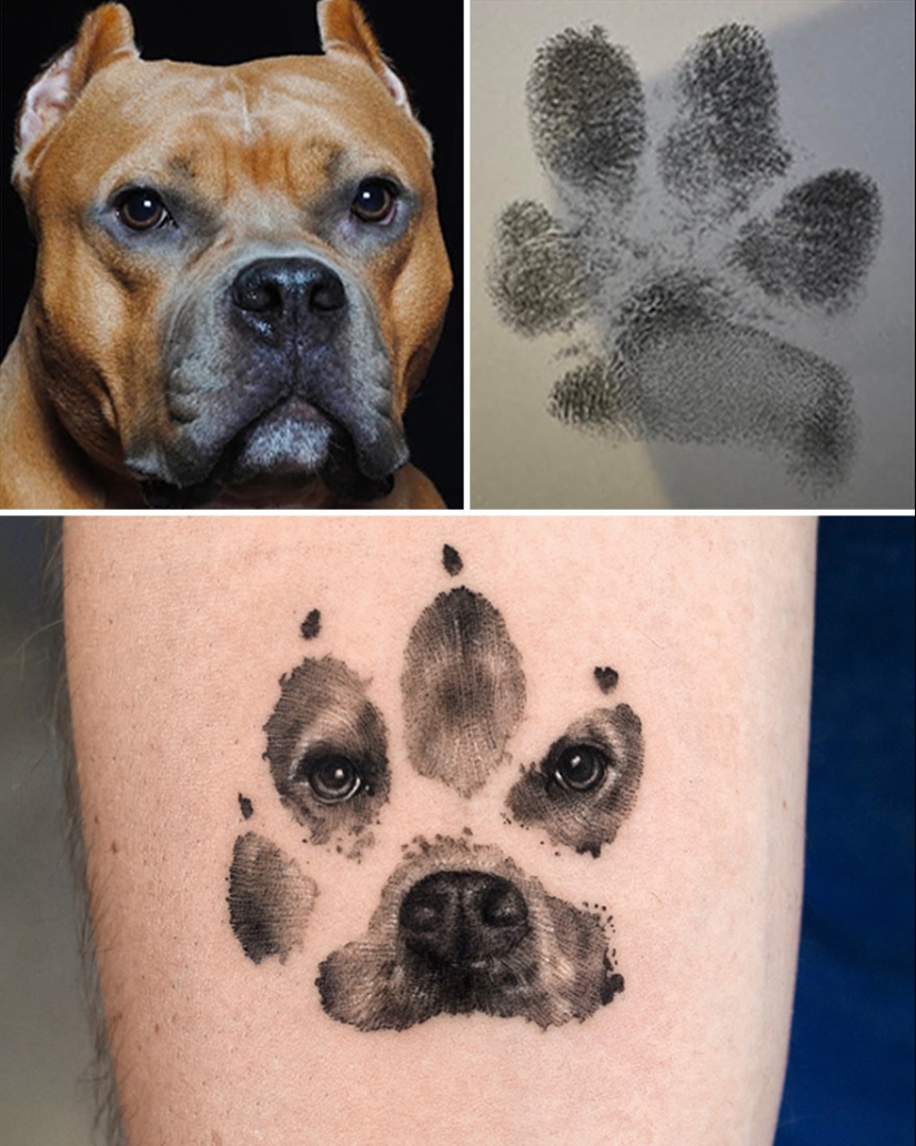 11 tatuajes que sus dueños apreciarán para siempre ya que presentan retratos realistas de sus mascotas 11 tatuajes que sus dueños apreciarán para siempre ya que presentan retratos realistas de sus mascotas