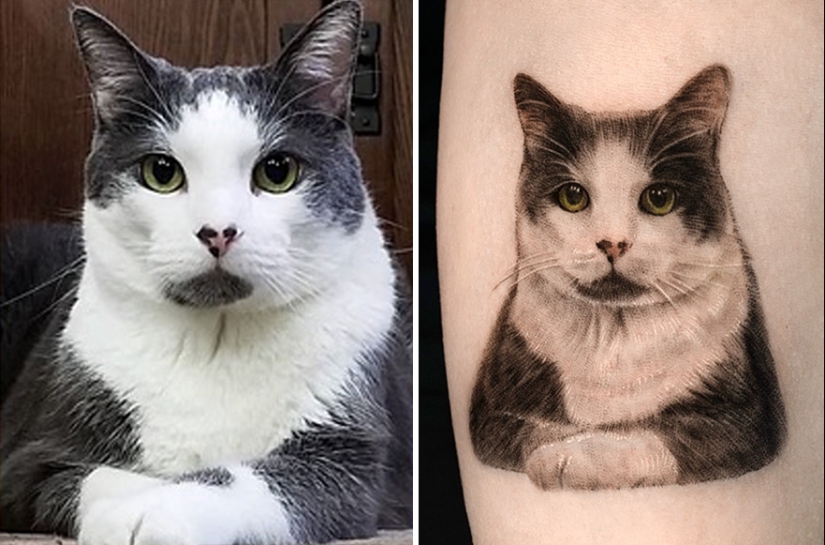 11 tatuajes que sus dueños apreciarán para siempre ya que presentan retratos realistas de sus mascotas 11 tatuajes que sus dueños apreciarán para siempre ya que presentan retratos realistas de sus mascotas